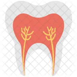 Tooth Roots  Icon