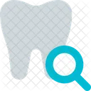 Tooth Search  Icon