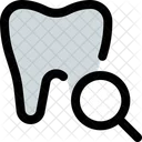 Tooth Search  Icon
