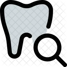 Tooth Search  Icon