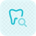 Tooth Search  Icon