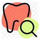 Tooth Search  Icon