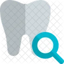 Tooth Search  Icon