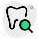 Tooth Search  Icon