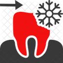 Dental Tooth Dentist Healthcare Icon