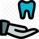 Tooth Share  Icon