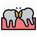 Tooth Wisdom  Icon