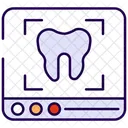 Tooth X Ray Tooth Dentist Icon