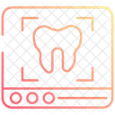 Tooth x ray  Icon