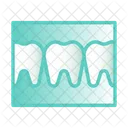 Tooth X Ray Teeth X Ray Teeth Icon