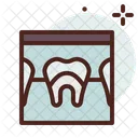 Tooth X Ray Teeth X Ray Dentist Icon