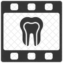 Tomography Tooth Dental Icon