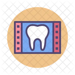 Tooth Xray  Icon