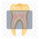 Toothache  Symbol
