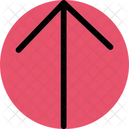 Top Arrow  Icon