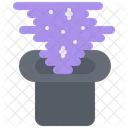 Top Hat Magic  Icon