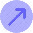 Asset Icon
