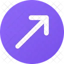 Asset Icon