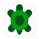 Shell Herbivore Simple Icon