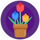 Topfpflanze Topfblumen Blumen Icon