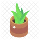 Zimmerpflanze Topfpflanze Dekorative Pflanze Icon