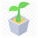 Zimmerpflanze Topfpflanze Dekorative Pflanze Icon