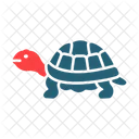 Tortoise Turtle Animal Icon