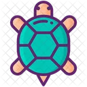 Tortoise Ecology Nature Icon