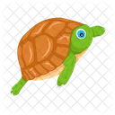 Turtle Icons Flatback Turtle Tortoise Icon