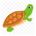 Turtle Icons Flatback Turtle Tortoise Icon