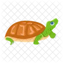 Turtle Icons Flatback Turtle Tortoise Icon