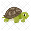 Turtle Icons Flatback Turtle Tortoise Icon