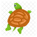 Turtle Icons Flatback Turtle Tortoise Icon