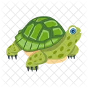 Turtle Icons Flatback Turtle Tortoise Icon