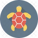 Tortoise Turtle Terrapin Icon