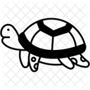 Tortoise  Icon
