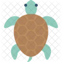 Sea Animal Sea Life Sea Turtle Icon