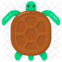 Angonoka Tortoise Animal Icon