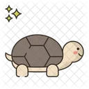 Tortoise Turtle Animal Icon