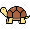 Tortoise Animal Zoo Icon