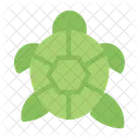 Tortoise Animal Turtle Icon