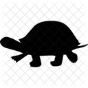 Tortoise Animals Icon