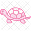 Tortoise Icon