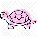 Tortoise Icon