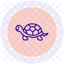 Tortoise Reptile Scaly Icon