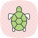 Tortoise Pet Reptile Icon