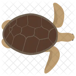 Tortue  Icône