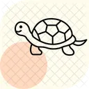 Tortue Reptile Ecailleux Icône