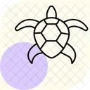 Tortue Coooter Tortue Cooter Reptile Icône