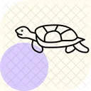 Tortue De Boue Tortue De Boue Reptile Icône